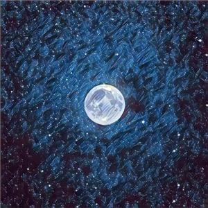 曰批全过程免费视频在线观看网站
